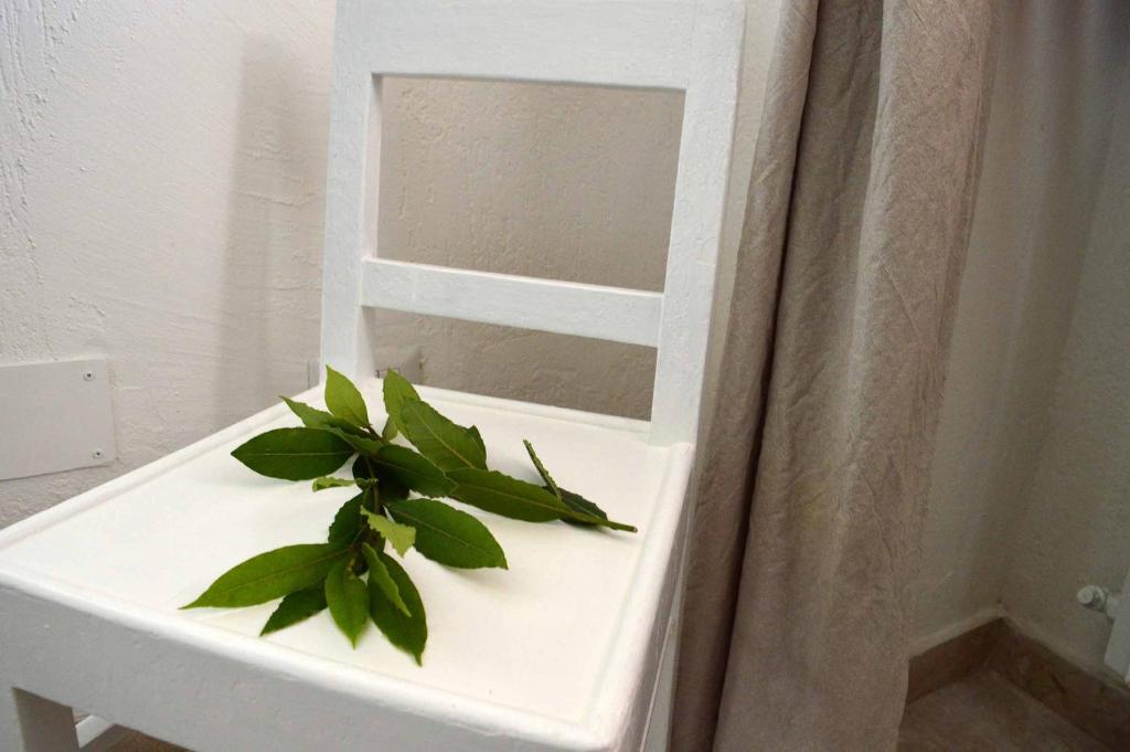 B&B Profumo di Alloro photo 1