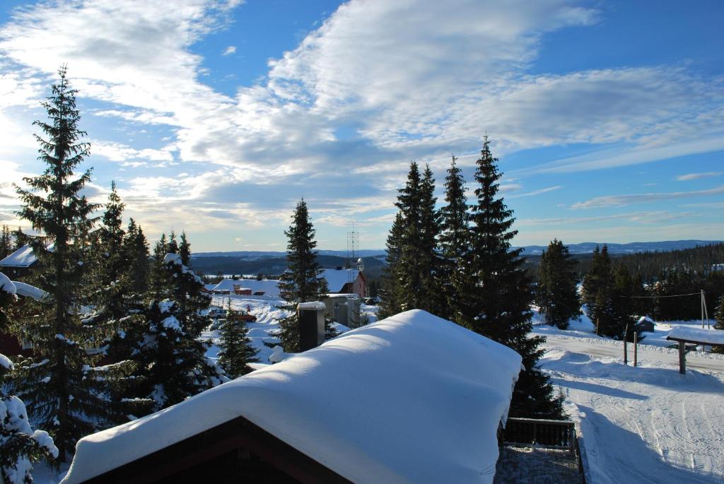 Nordseter Fjellpark, Hyttegrend photo 2