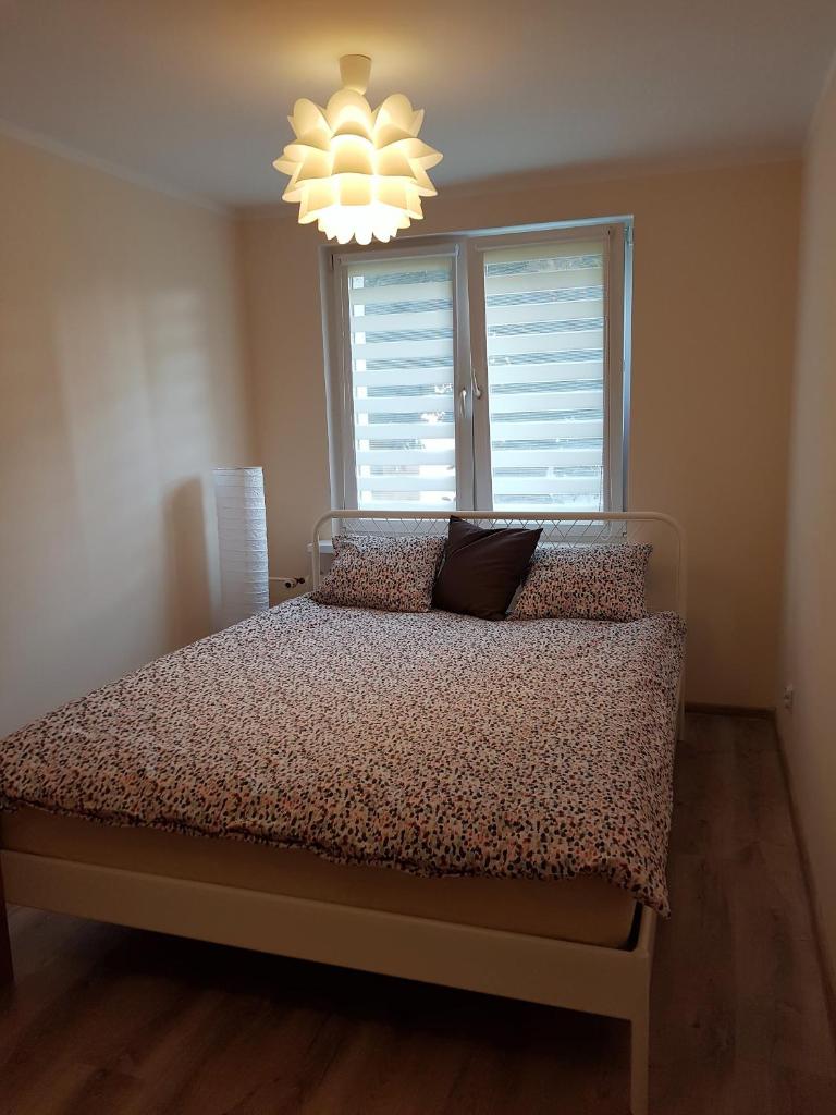 Apartament Pocztowa photo 3