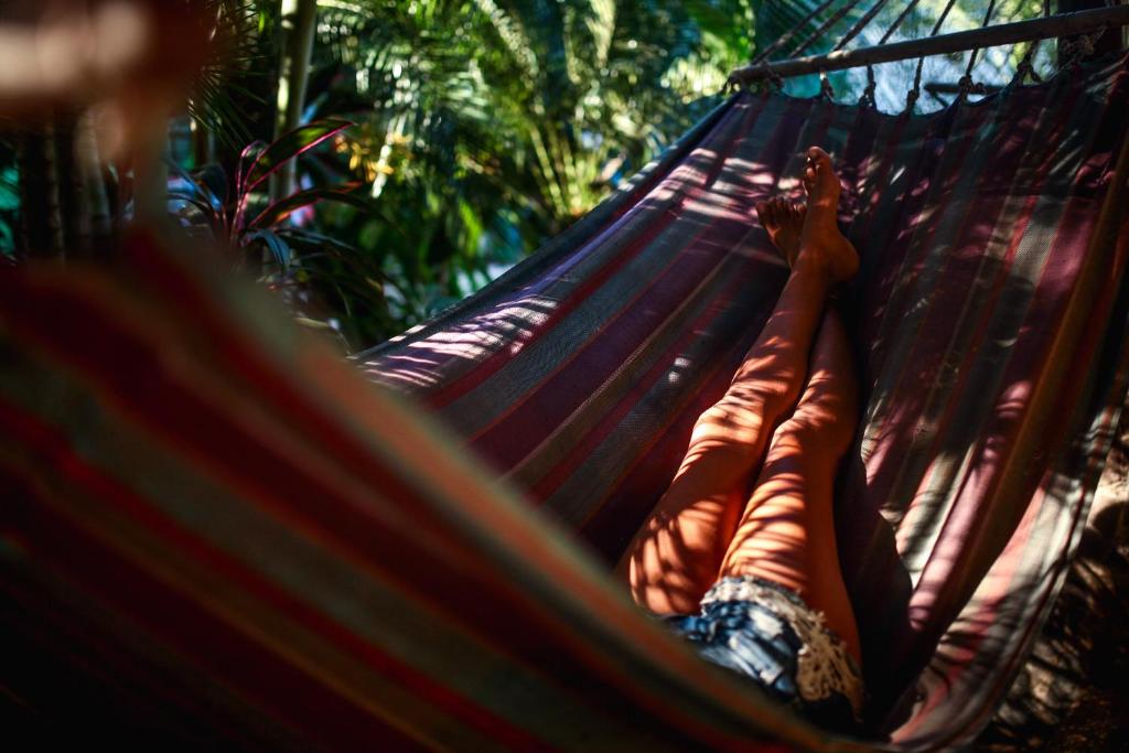 Tamarindo Backpackers photo 4