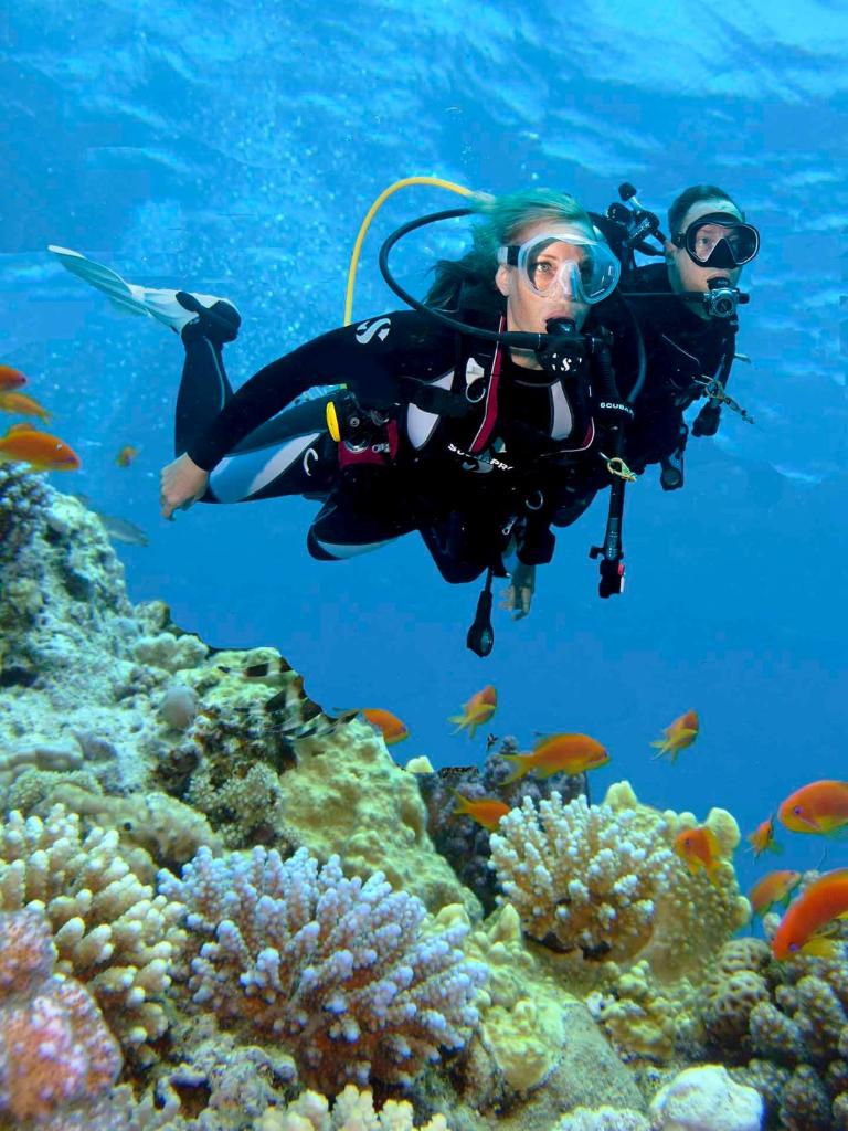 Двухместный (Сертификационный курс дайвинга PADI Open Water), Steigenberger Al Dau Beach