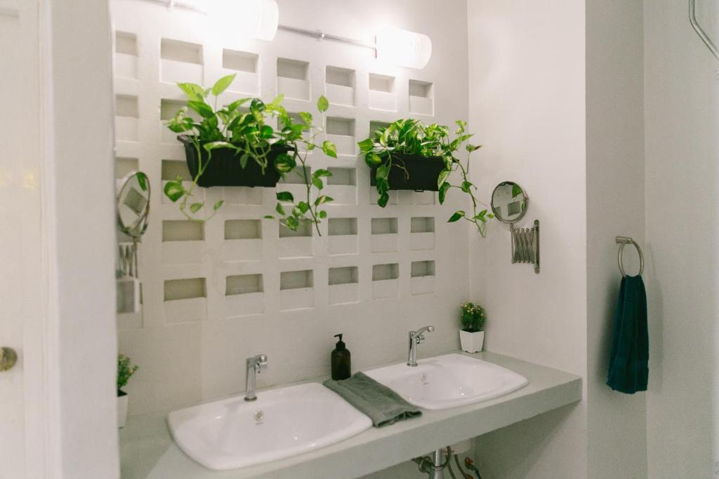 Номер (Кровать в общем 6-местном номере для мужчин и женщин), Diff Hostel