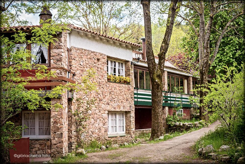 Photos of Hostal l'Avet Blau