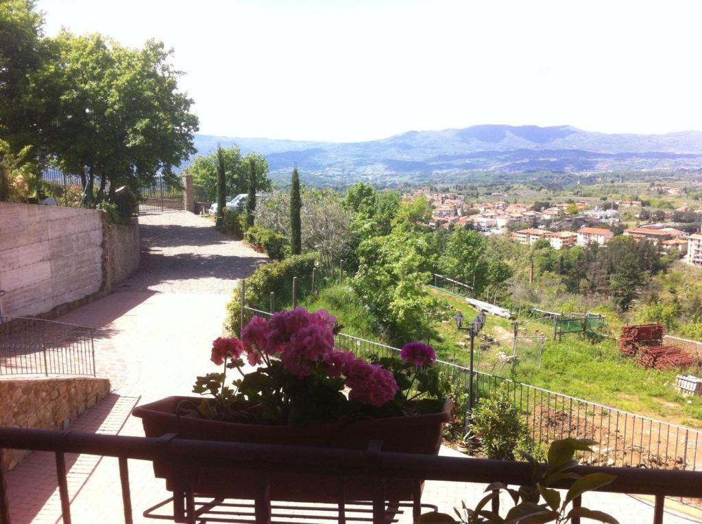 Villa Lucrezia photo 4