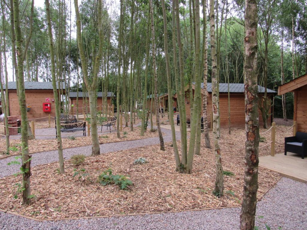 Riddings Wood lodges Room Type - Oak Luxury Woodland Lodge, Pet Friendly with Hot Tub