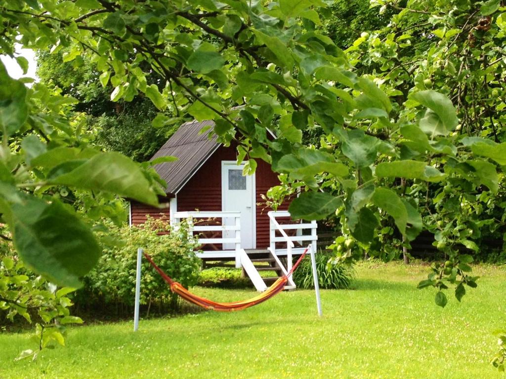 Little Garden House photo 3