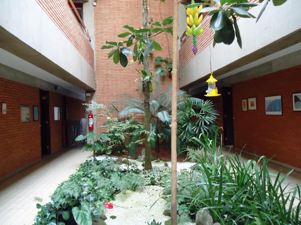 Mira Maré Praia Hotel photo 3