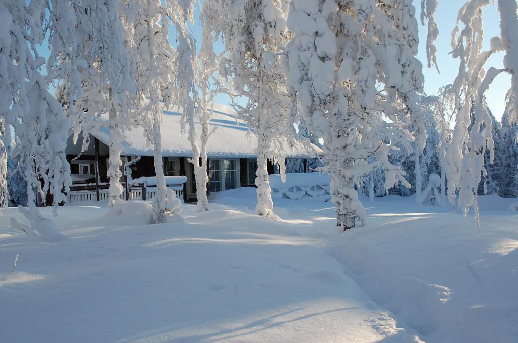 RukaNeliö Cottage photo 4