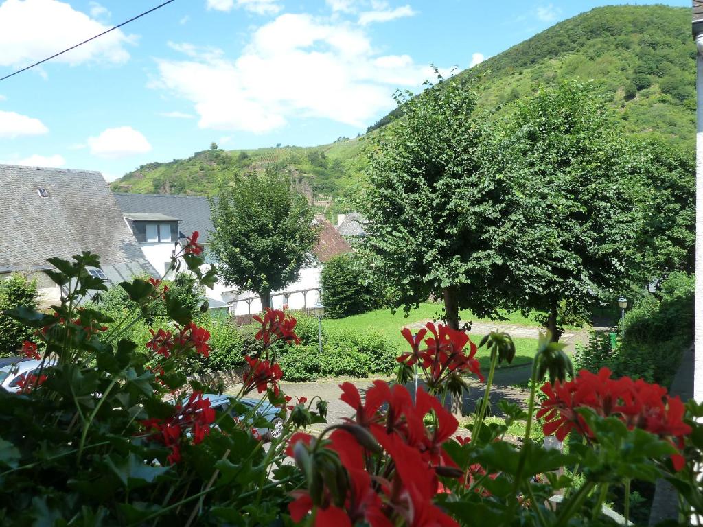 Alte Weinstuben Steinfelder Hof Garni photo 2