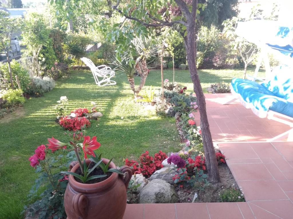 Villa Marina Big photo 4