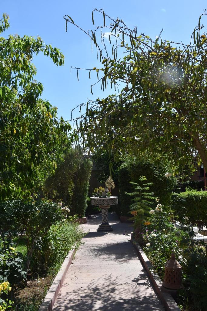 Hotel Dar Zitoune Taroudant photo 3