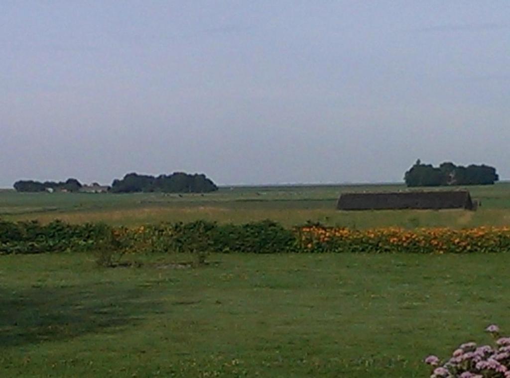 Ûnderdak photo 4