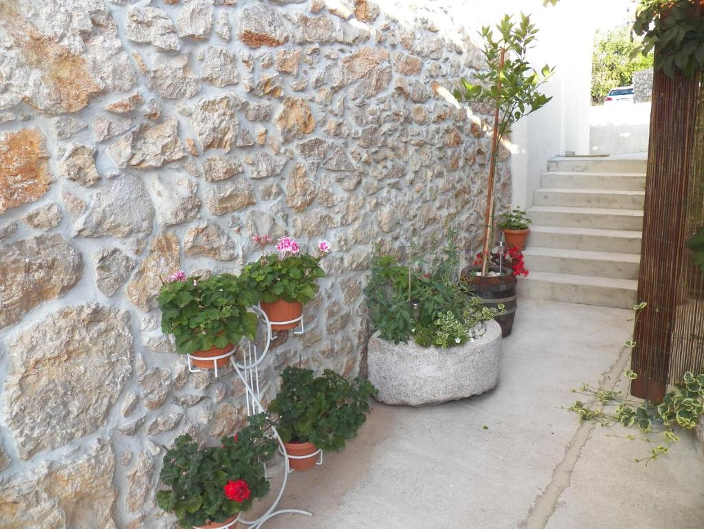 Apartman Bonaca photo 3