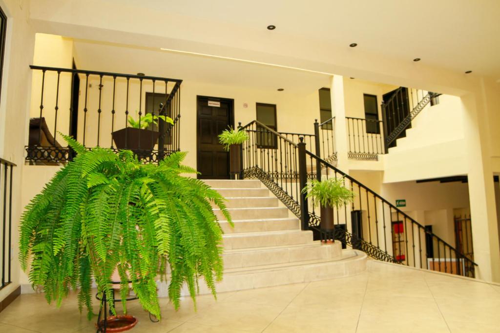 Hotel y Suites El Refugio de Don Carlos photo 2