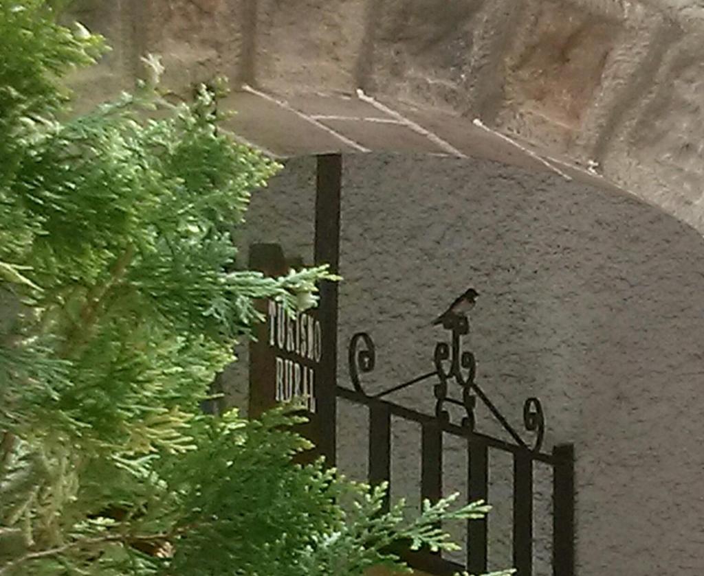Casa Marieta photo 1