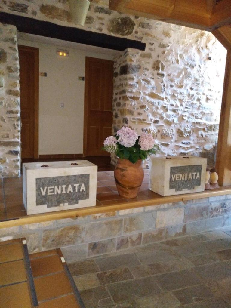 Veniata photo 4