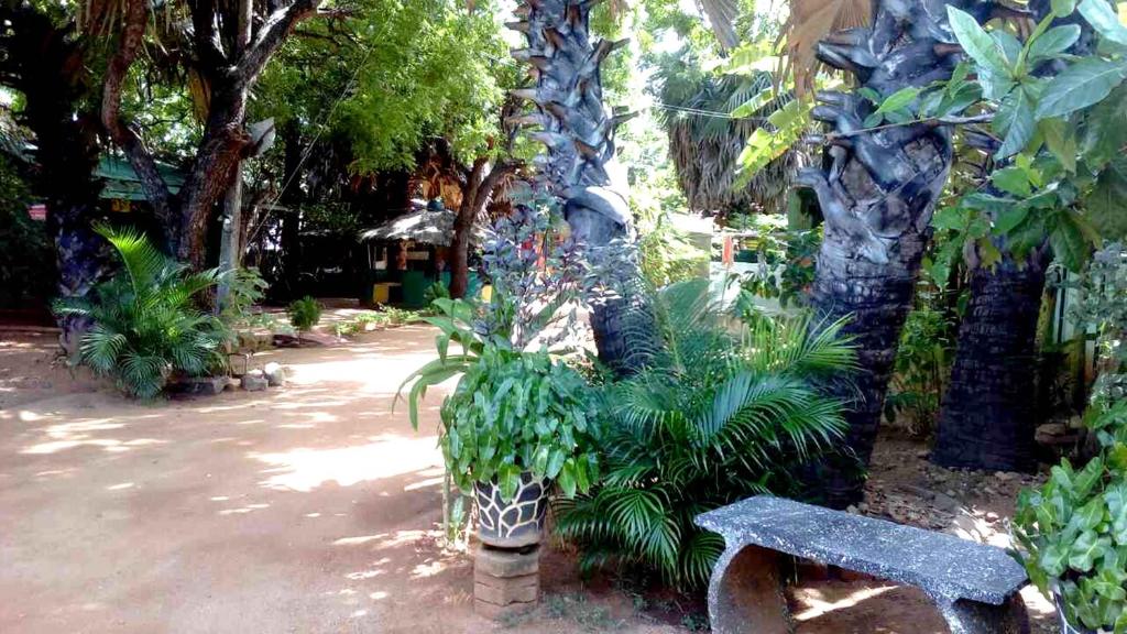 Amila Guest photo 2