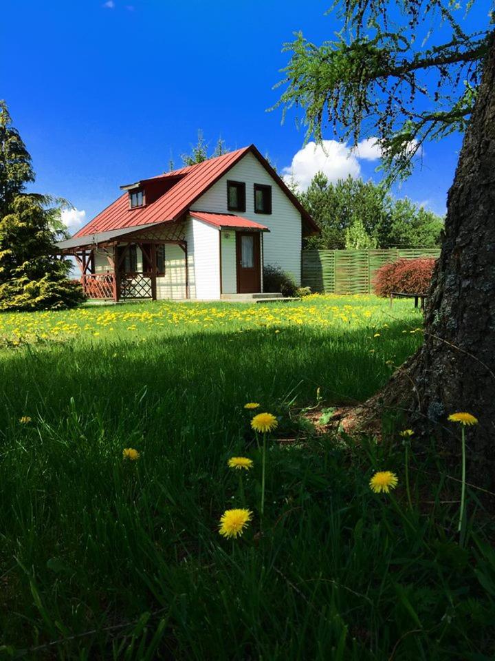 Agroturystyka Falinka photo 2