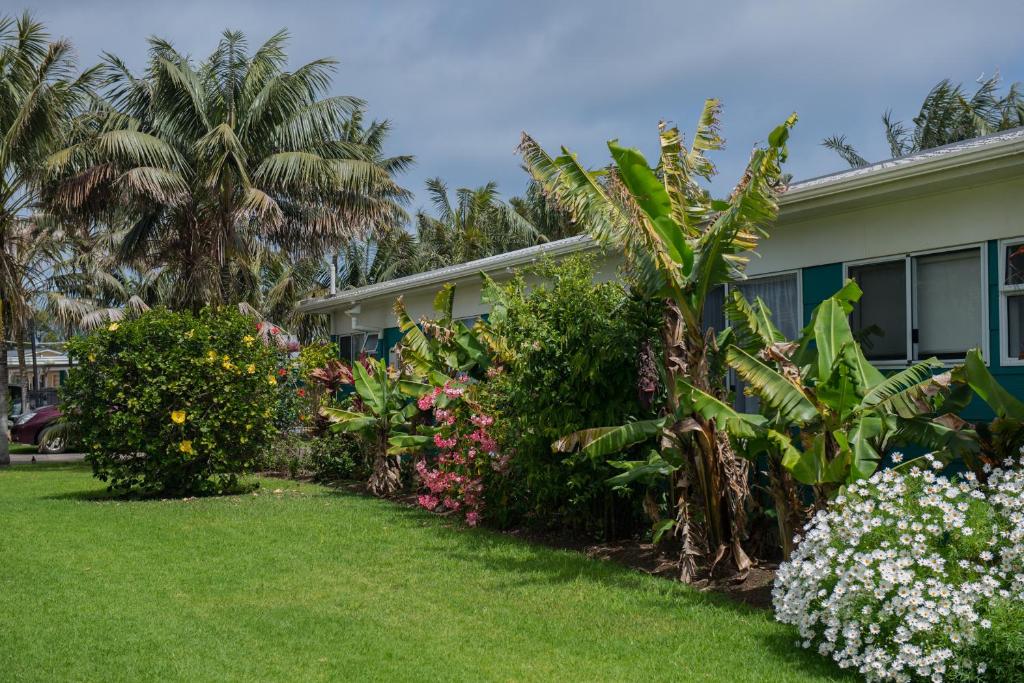 Aloha Apartments photo 3