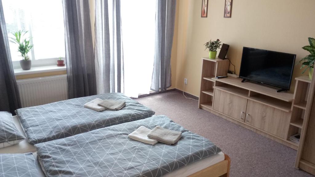 Apartmá Anglická photo 2
