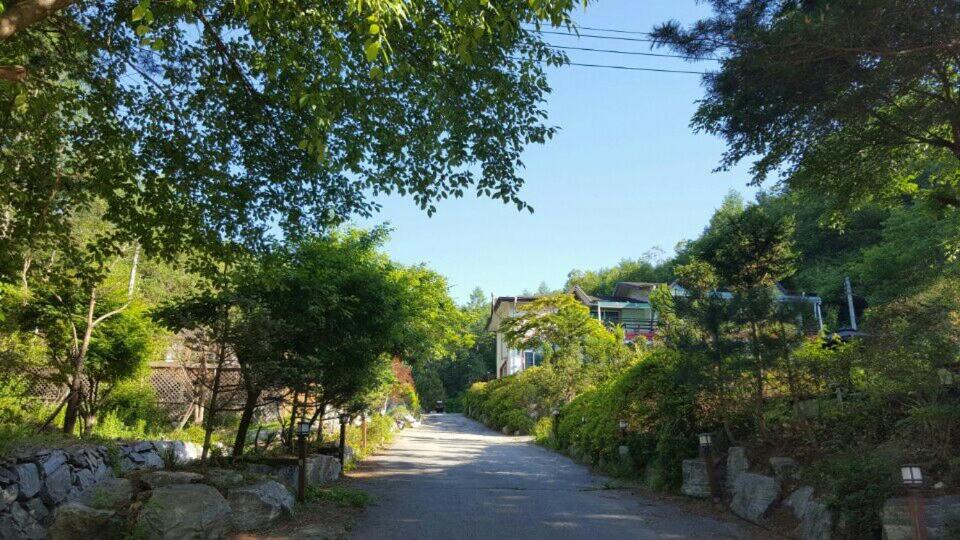 Pinearoma Pension photo 1