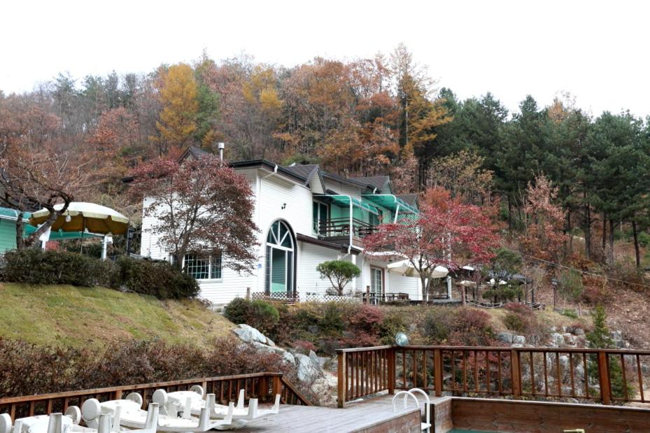 Pinearoma Pension photo 2