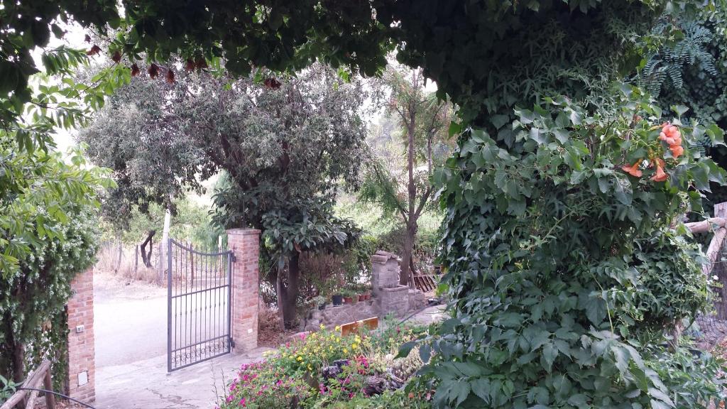 Agriturismo Masseria Tufaro photo 4