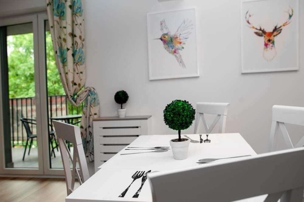 Апартаменты (Апартаменты с душем), Apartamenty Szewska 7