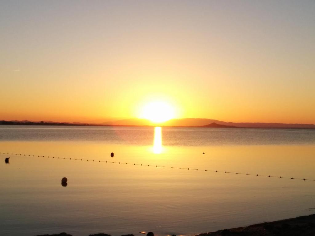 El Vivero del Mar Menor photo 3