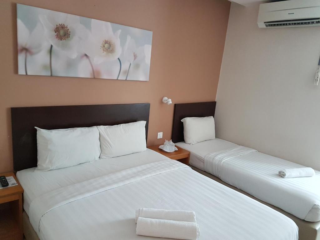 Трехместный (Представительский трехместный номер), Hotel Asia