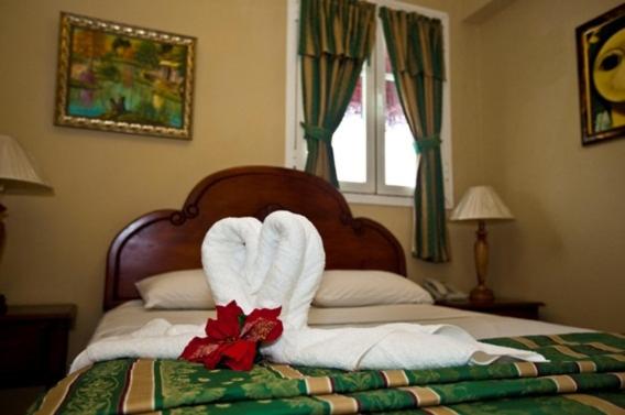 Двухместный (Двухместный номер с 1 кроватью), Hotel Discovery