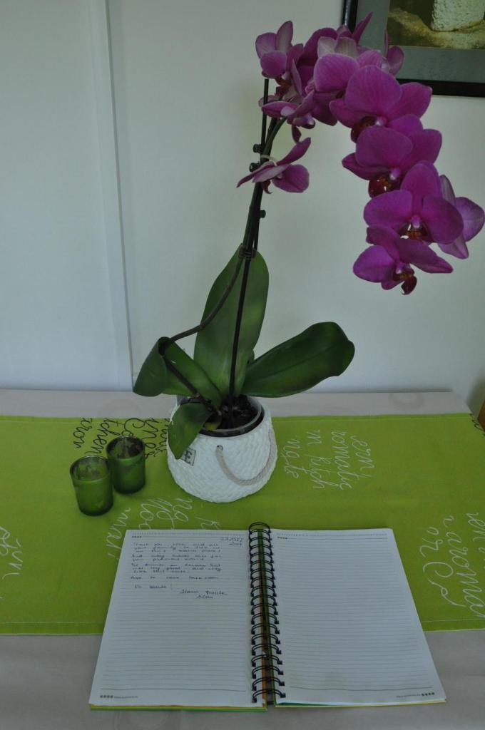 Apartment Marioni photo 4