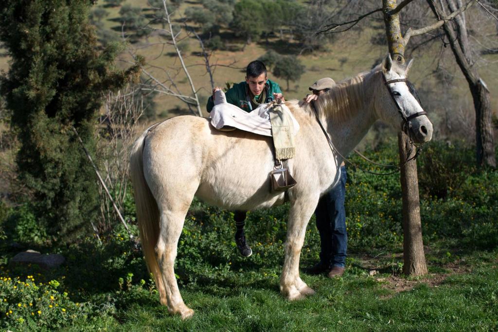 Cortijo El Berrocal photo 2