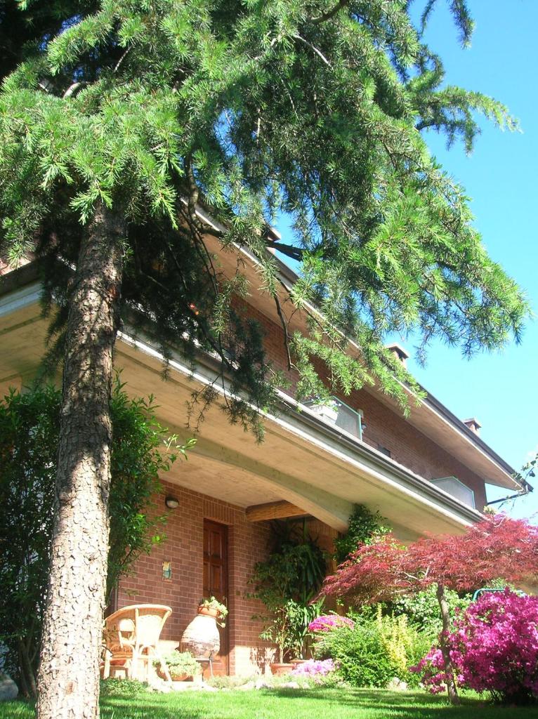 B&B Anna photo 1