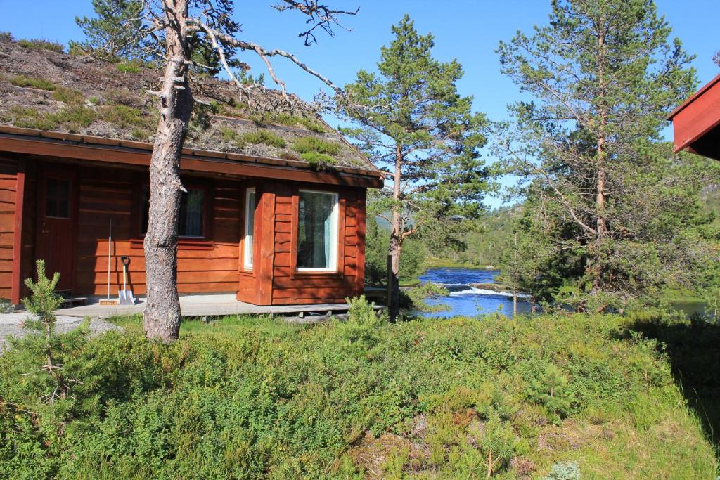 Hytte ved Gaularfjellet photo 4