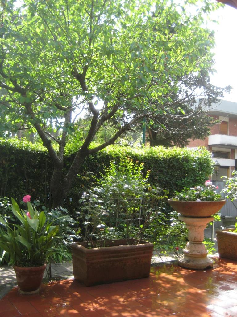 Villa Feltran photo 3