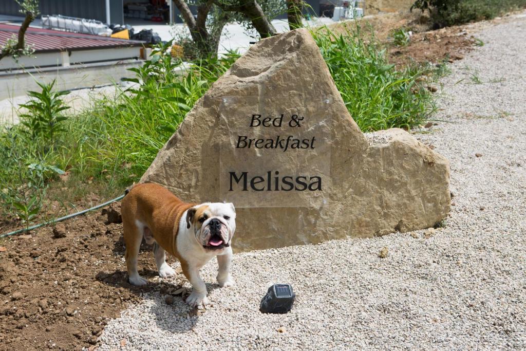 Melissa B&B photo 2