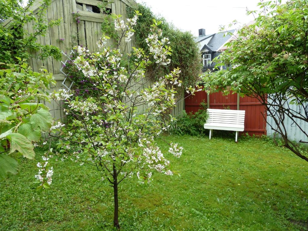 Red Old House Tromsø Apartment photo 3