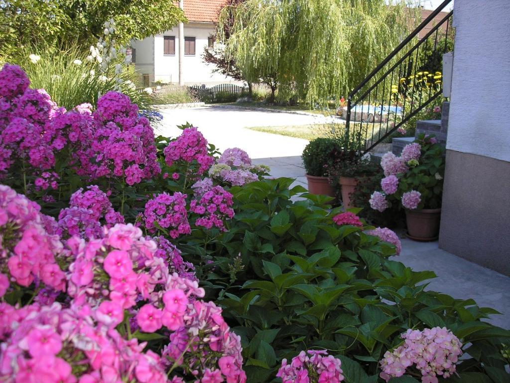 Guesthouse Vila photo 3