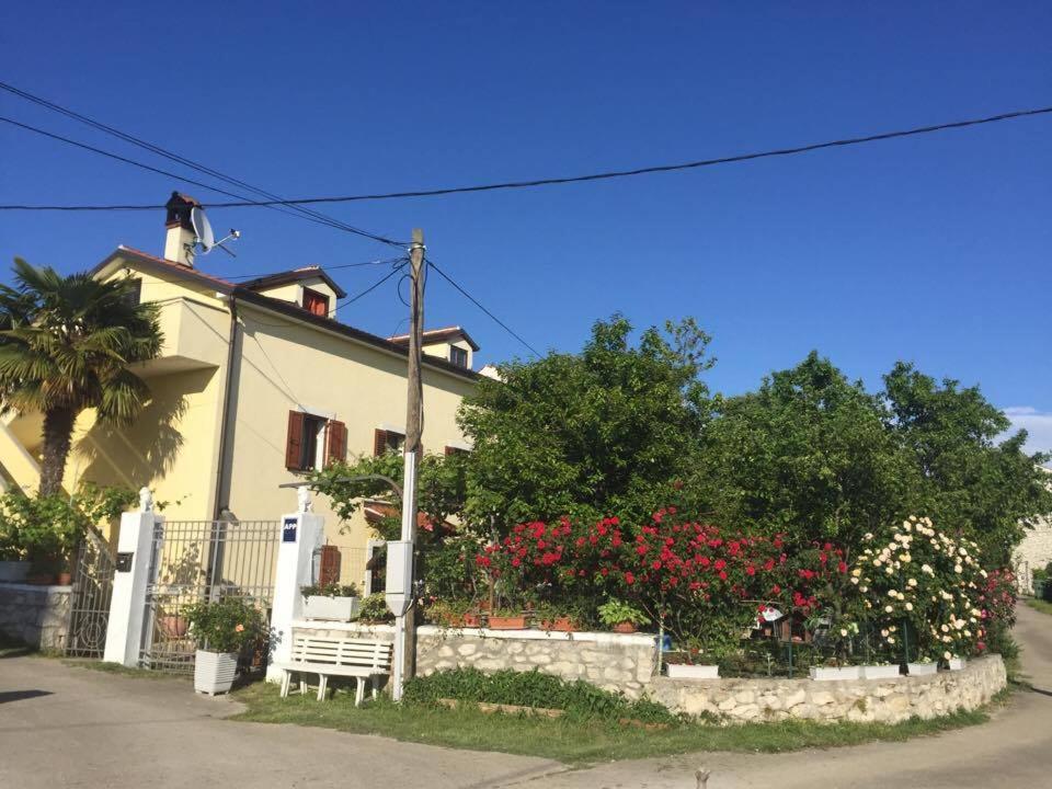 Apartment Violetta