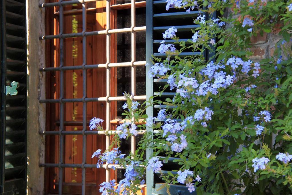 antica casa "le rondini" photo 4