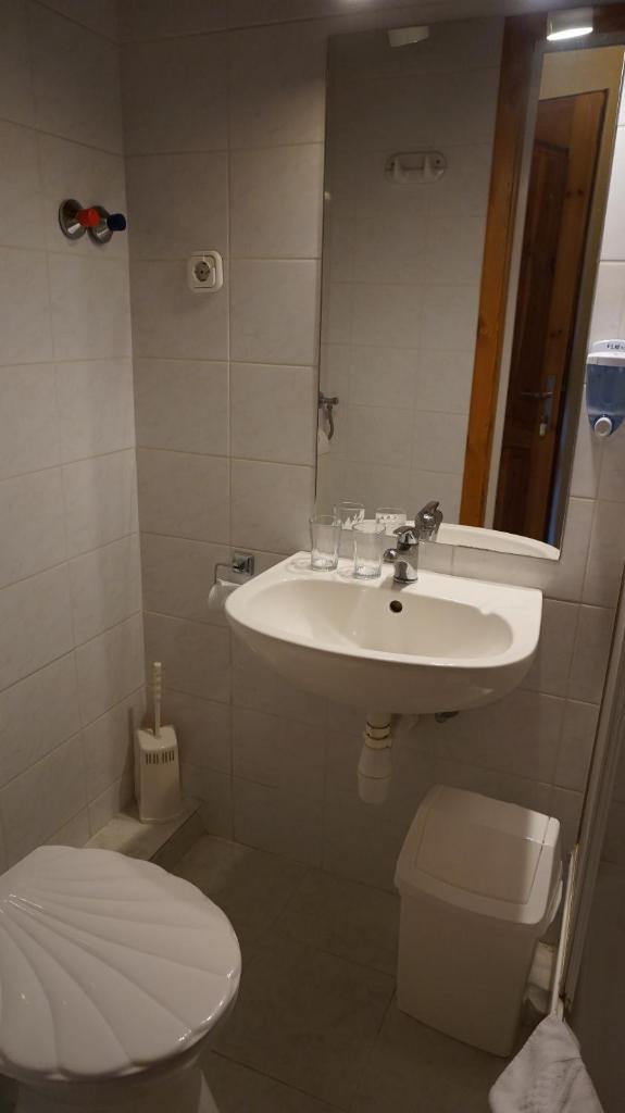 Двухместный (Двухместный номер с 1 кроватью), Hajdú Kastély Hotel