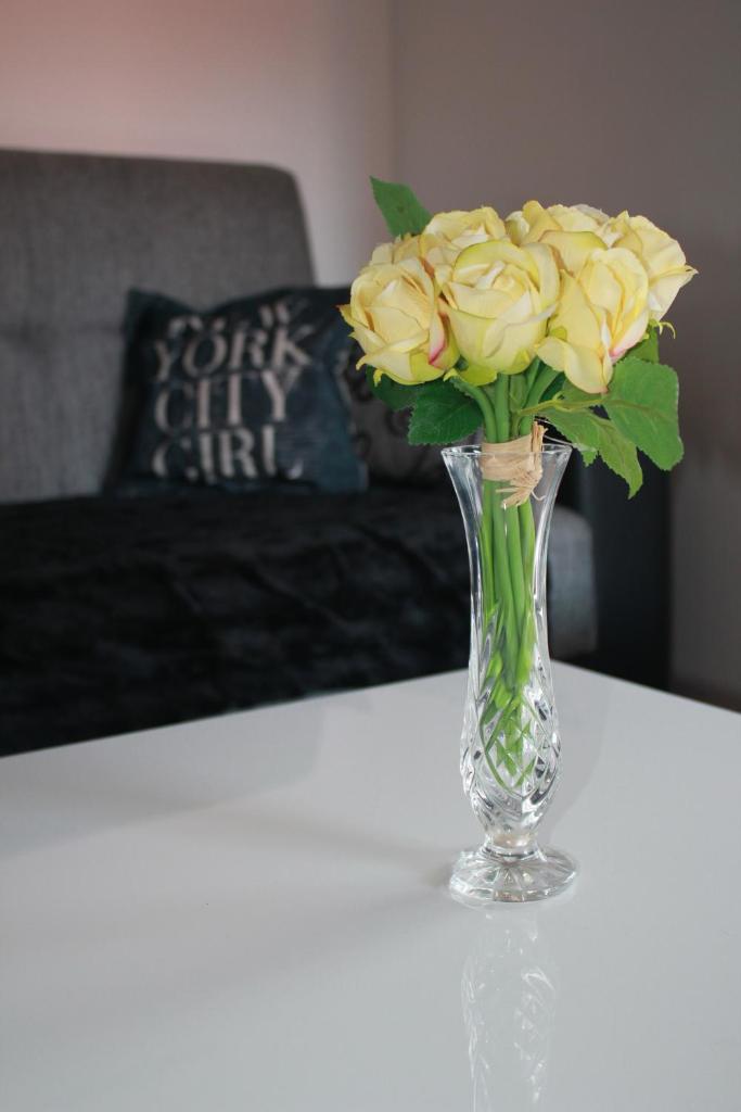 Apartment Antonia photo 4