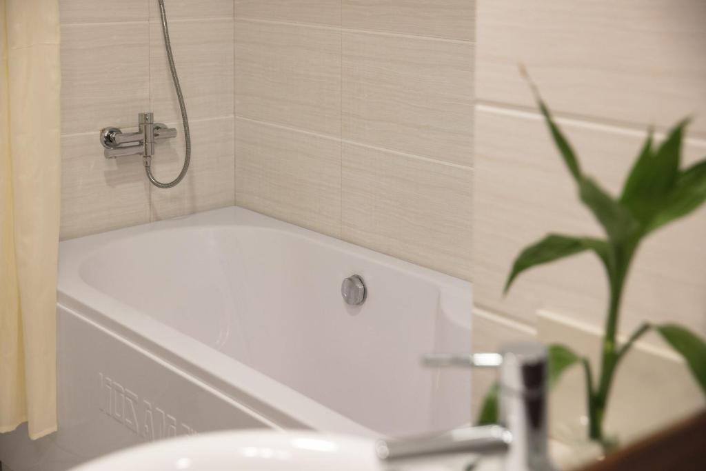 Serene Boutique Hotel & Spa