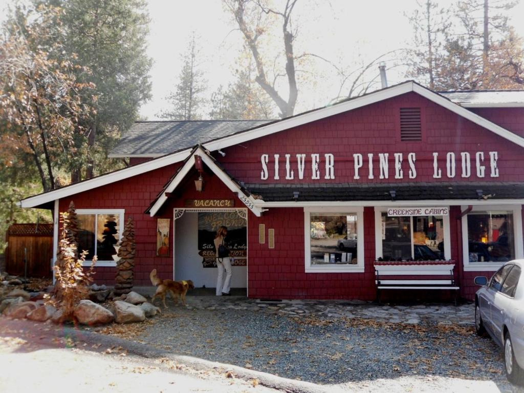 Silver Pines Lodge image