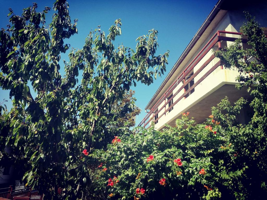 Villa Letina photo 2