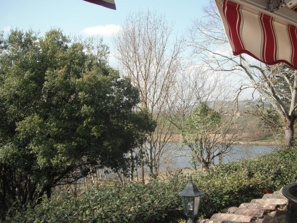 Le Bosc photo 3
