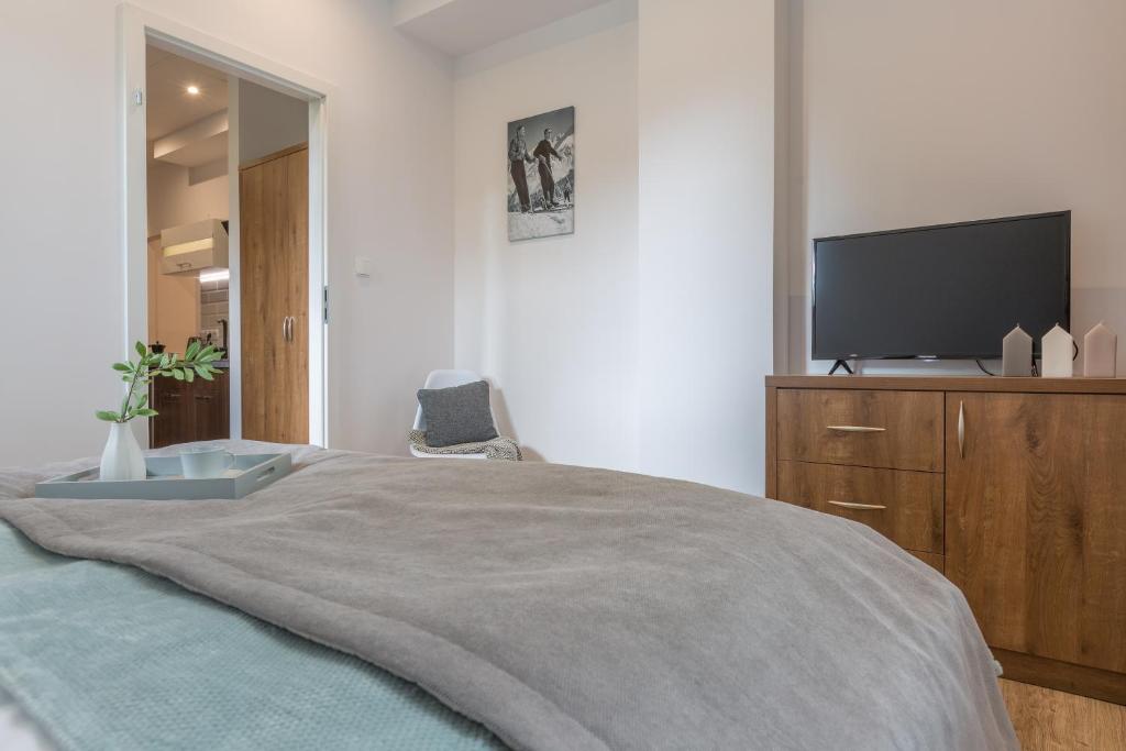 Апартаменты (Апартаменты Делюкс), Stacja Zakopane - Apartamenty w centrum