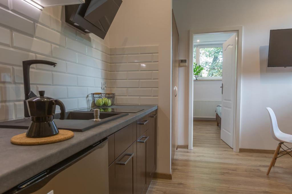Апартаменты (Апартаменты Делюкс), Stacja Zakopane - Apartamenty w centrum