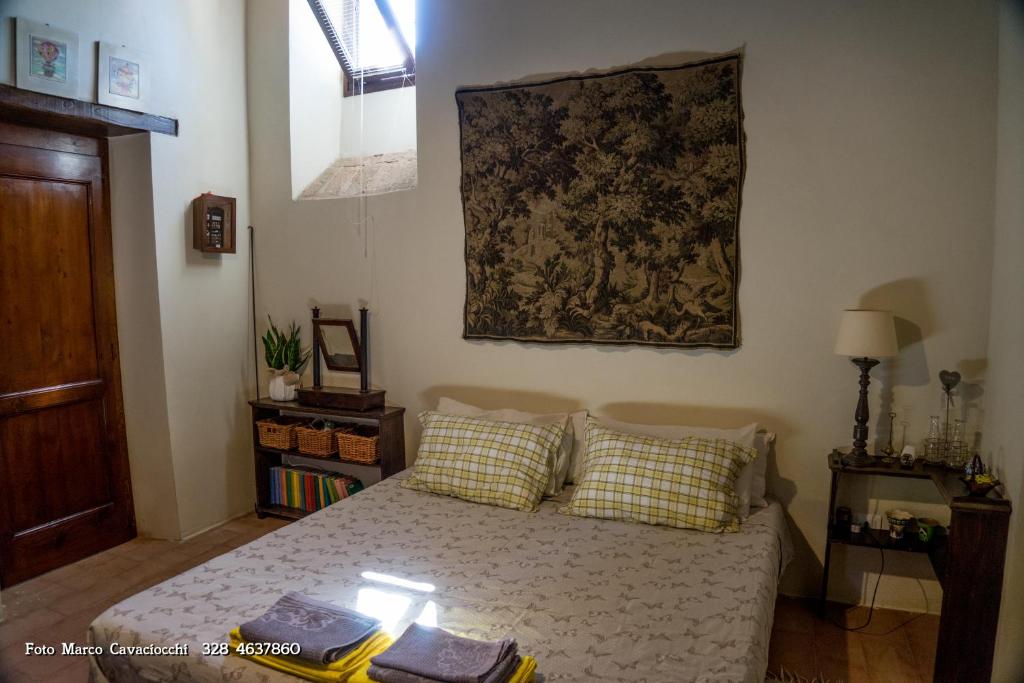 Il Bosso di Toscana photo 3